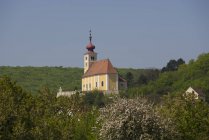 Австрия, Бургенланд, Оххен, церковь на холме — стоковое фото