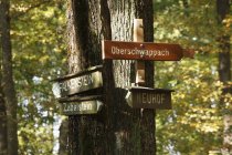 Holzschilder an Bäumen in Wäldern in Bayern — Stockfoto