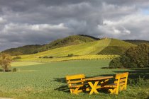 Германия, Бавария, Обершварцах, деревянный стол и скамейки в сельской местности с виноградником на заднем плане — стоковое фото