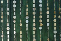 Primer plano de la decoración de nácar en la puerta verde oscuro - foto de stock