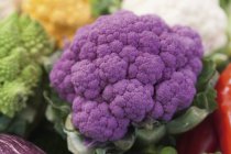 Allemagne, Bavière, Gros plan sur divers légumes — Photo de stock