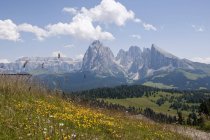 Itália, prado alpino em direcção às montanhas Langkofel e Plattkofel no sul do Tirol — Fotografia de Stock