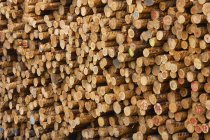 Germany, Baden-Wuerttemberg, Bopfingen, Stack of tree logs — Stock Photo
