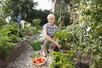 Donna matura con verdure in giardino — Foto stock