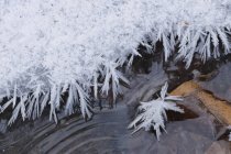 Германия, Саксония, взгляд на кристаллы льда на поверхности воды — стоковое фото