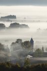 Germania, Baviera, Zell, Veduta dell'albero nella nebbia — Foto stock