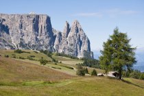 Alpine meadow with Schlern and Santner peaks — Stock Photo