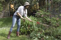 Молодая женщина, работающая в саду — стоковое фото