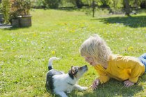 Chico jugando con Jack Russel Terrier - foto de stock