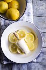 Gelato al limone fatto in casa — Foto stock
