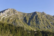 Austria, Vorarlberg, Veduta della montagna Kanisfluh nella foresta di Bregenz durante il giorno — Foto stock