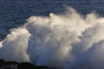 Breaking of waves at La Gomera — Stock Photo