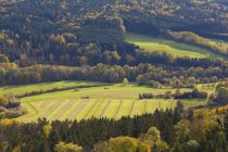 Германия, Гельзенберг, вид на поле возле леса под Хайфе — стоковое фото
