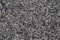 Cestas llenas de pescado seco, marco completo - foto de stock