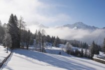 Austria, Vista de los Alpes de Tannheim durante el día - foto de stock