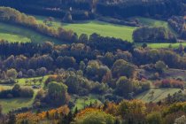 Bosque y prados cerca de Hechingen - foto de stock