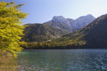 Австрія, salzkammergut(region), langbathsee, озеро та гори восени — стокове фото
