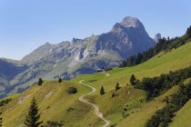 Hochknzelspitze mountain, view from Hochtannbergpass, Bregenz Forest, Bregenzerwald region, Vorarlberg, Austria — Stock Photo