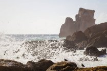 Португалія, завалити видом на пляж — стокове фото