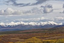 EUA, Alasca, Paisagem ao longo da estrada Denali no outono com Alaska Range — Fotografia de Stock