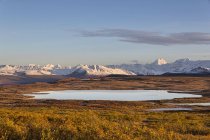 USA, alaska, Ansicht der Landschaft im Herbst, alaska Bereich im Hintergrund — Stockfoto