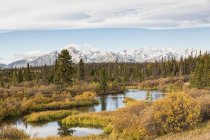 Canadá, Vista do Rio Jarvis no Parque Nacional e Reserva de Kluane — Fotografia de Stock