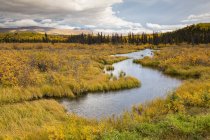 Canada, Veduta del torrente Scoiattolo durante il giorno — Foto stock