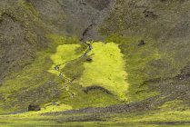Islândia, Landmannalaugar, Vista do riacho de água derretida através da área de musgo — Fotografia de Stock