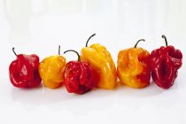 Перець червоний та жовтий habaneros — стокове фото