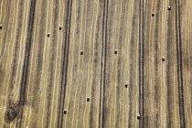 Вид с воздуха на пшеничное поле и тюки соломы, Германия — стоковое фото