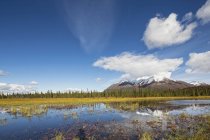 USA, Alaska, View of landscape in autumn, Alaska Range in background — Stock Photo