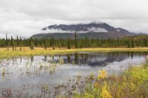 États-Unis, Alaska, Vue du paysage en automne avec rivière — Photo de stock