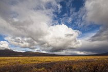 USA, Alaska, Paesaggio lungo Denali Highway in autunno con Alaska Range — Foto stock