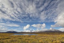 USA, alaska, Ansicht der Landschaft im Herbst, alaska Bereich im Hintergrund — Stockfoto