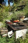 Scena rurale di cibo che si prepara su stufa in giardino — Foto stock