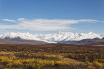 EUA, Alasca, Paisagem ao longo da estrada Denali no outono com Alaska Range — Fotografia de Stock