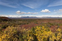 USA, Alaska, Paesaggio lungo Denali Highway in autunno con Alaska Range — Foto stock