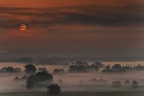 Nebbia mattutina Aachried, Radolfzell — Foto stock