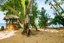 Panama, bocas del toro, bushaltestelle am bluff beach — Stockfoto