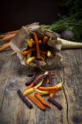 Remolacha ecológica, zanahorias y patatas fritas de chirivía - foto de stock