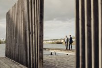 Due uomini d'affari in piedi su pontile al lago e parlando — Foto stock