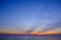 Italia, Liguria, Riviera di Ponente, Golfo de Génova, Noli, amanecer en la playa - foto de stock