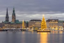Germany, Hamburg, Jungfernstieg, town hall, St. Nicholas 'Church, Christmas tree, Binnenalster in the evening — стоковое фото