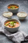 Red curry dish with smoked tofu — Stock Photo