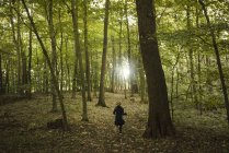 Vista posteriore della ragazza che corre in una foresta — Foto stock