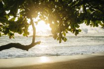 Коста-Рика, пляж Корковадо на закате — стоковое фото