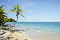 Costa Rica, Limón, Playa con palmera en el Parque Nacional de Cahuita - foto de stock