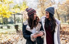 Two pretty women with cell phone smiling at each other in an autumnal forest — Stock Photo