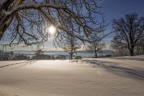 Germania, Baviera, Eurasburg, Vista sulla Valle del Loisach in inverno contro il sole — Foto stock
