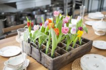 Decorazione tavola con tulipani — Foto stock